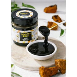 Мёд Immuno Gold с чёрным тмином, чагой и мумиё, 200 г