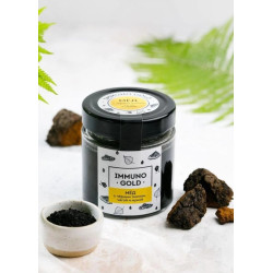 Мёд Immuno Gold с чёрным тмином, чагой и мумиё, 200 г