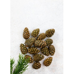 Варенье из сосновых шишек Cedar Immuno, 100 г