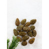 Варенье из сосновых шишек Cedar Immuno, 100 г